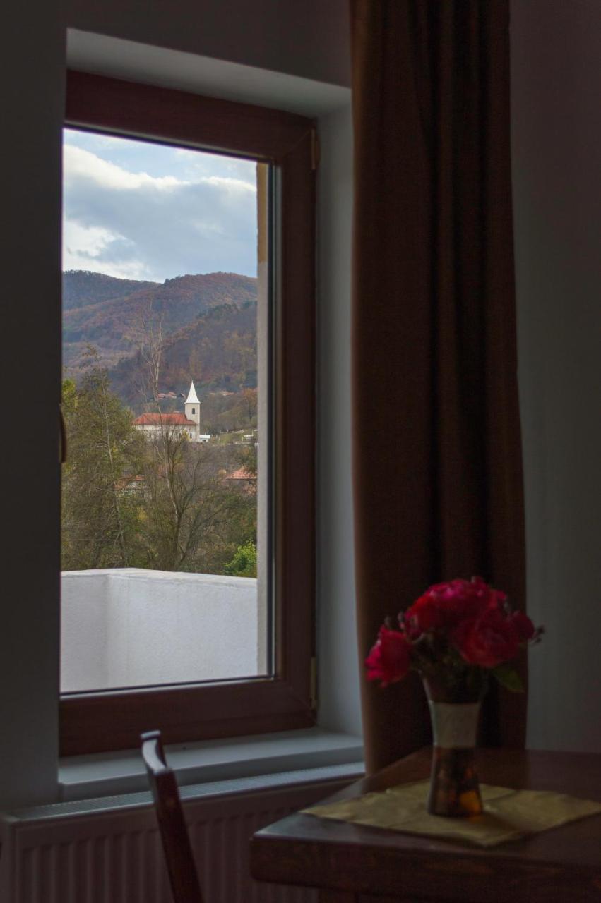 Pensiune Casa Ampeia Алба-Юлия Экстерьер фото